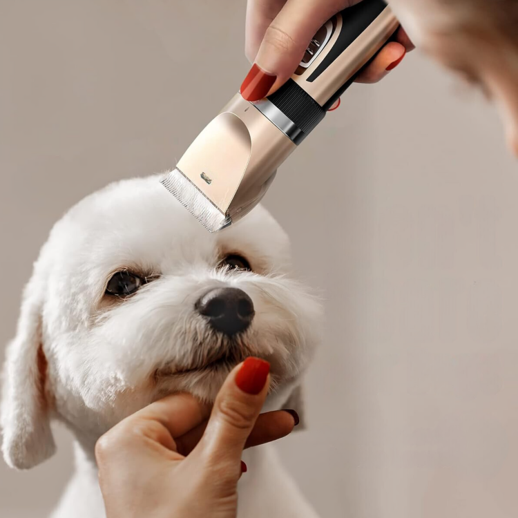 CordLess Pet Clippers